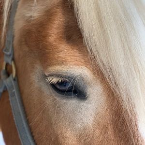 Meet your Posher, Anne-laure